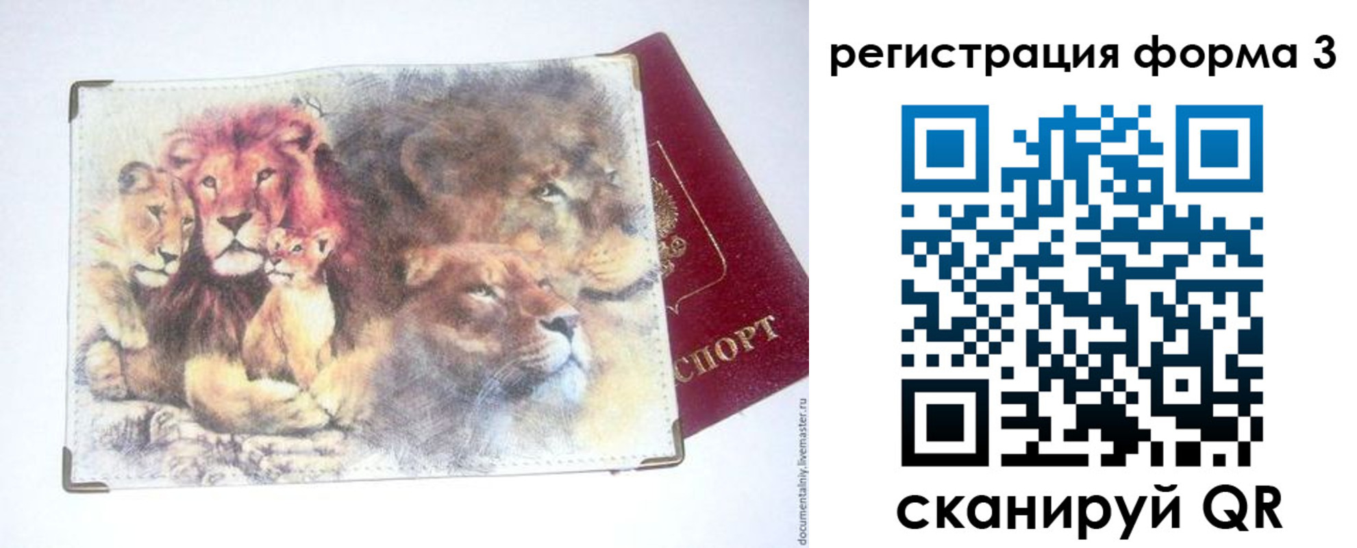 прописка в квартире в Новопавловске